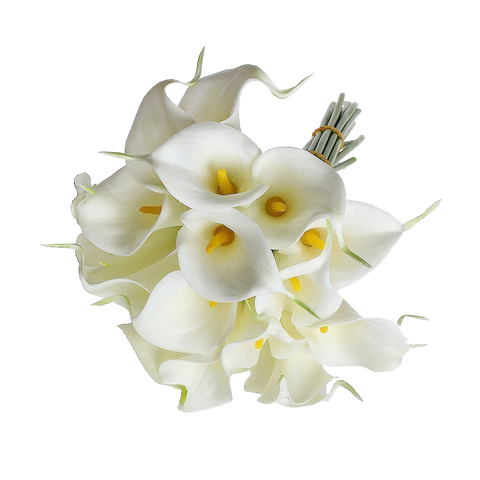 Eforcase Refreshing Calla Lily Bridal Wedding Bouquet Flower Bouquets