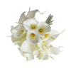 Eforcase Refreshing Calla Lily Bridal Wedding Bouquet Flower Bouquets