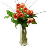 Tulips Arranged in a Vase