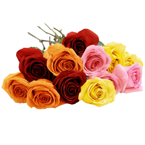 Blooming 12 Long Stemmed Assorted Rose Bouquet