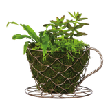 Coffee Cup Planter